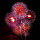 Feuerwerk Feuerwerk
