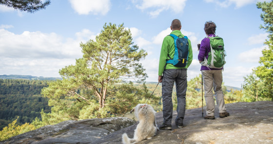 If you enjoy hiking, why not discover the Mullerthal Region – Luxembourg’s Little Switzerland via the Mullerthal Trail with its 112 km of beautiful views, strange rock formations and cultural highlights. (Copyright: Pulsa Pictures/LFT)
