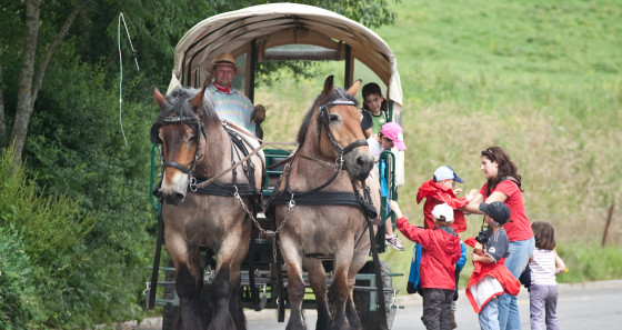 In Munshausen, also located in the north of the country, the Tourist Center Robbesscheier lets you not only discover traditional machines and handicrafts but also farm animals. A real highlight is a carriage ride with Ardennes horses. © Fabrizio Maltese / LFT