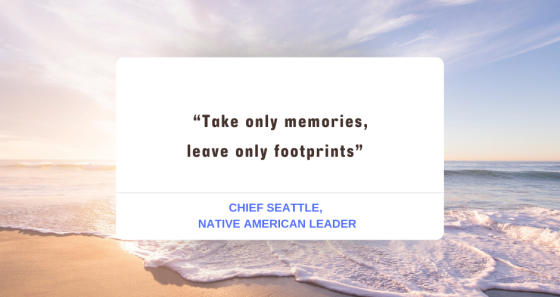 Quote by Chief Seattle