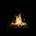 IMG 1341 IMG 1341