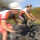 © RC 523 klein © RC 523 klein