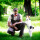 Rodrigue & Loulou. (Copyright: Robert Berger) Rodrigue & Loulou. (Copyright: Robert Berger)