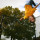 Stockfoto Trampolin Flyer Stockfoto Trampolin Flyer
