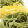colored-pasta-noodles colored-pasta-noodles