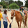 Reiten Reiten