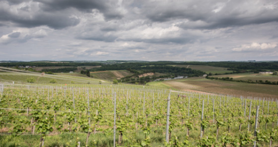 The Moselle region awaits with its enchanting landscape. © Jonathan Godin / LFT