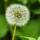 Natur Natur