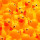 Duck race Duck race