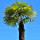 summerfeeling summerfeeling