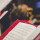 david-beale-gOsGgt4olNs-unsplash david-beale-gOsGgt4olNs-unsplash