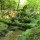 Hiking in Mullerthal (8) Hiking in Mullerthal (8)