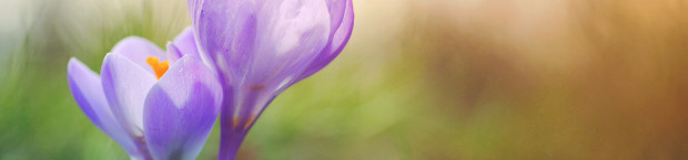 aaron-burden-hB xgEXucQs-unsplash