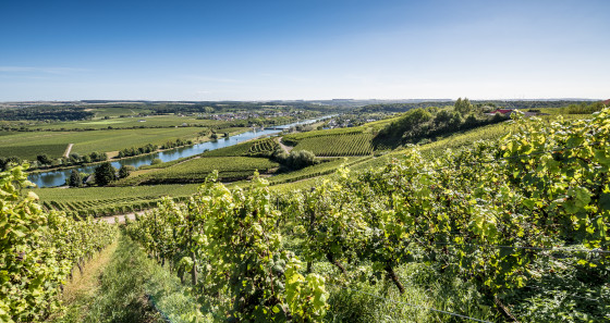 14.	The town of Remich is also called the ‘Pearl of the Moselle’ with its cosy terraces, great wines and fun boat trips. Copyright: Pulsa Pictures/LFT