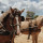 esperanza-algaba-davila-Pee6pTydLAM-unsplash esperanza-algaba-davila-Pee6pTydLAM-unsplash