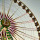 gabor-koszegi-ZKutmDZKh5I-unsplash (1) gabor-koszegi-ZKutmDZKh5I-unsplash (1)