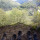 Hiking in Ardennes-Eislek (14) Hiking in Ardennes-Eislek (14)