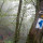 Hiking in Ardennes-Eislek Escapardenne Lee Trail (18) Hiking in Ardennes-Eislek Escapardenne Lee Trail (18)