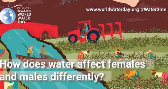 How does water affect females and males differently?