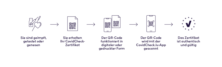 CovidCheck Infographie DE CovidCheck Infographie DE