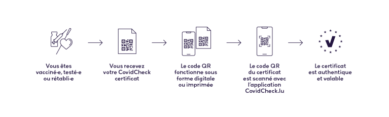 CovidCheck Infographie FR CovidCheck Infographie FR
