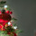 Weihnachten (4) Weihnachten (4)