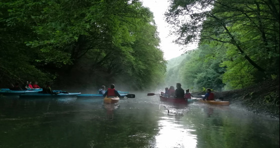 The early bird kayak tour in July started bright and early at 5:30 a.m. on Luxembourg's largest lake, the reservoir lake at Lultzhausen and the participants could enjoy the sunrise on the lake.