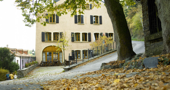 The youth hostel is located in the upper part of Vianden in a traditional house with 66 beds.