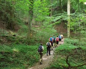 Hiking in Mullerthal (4)
