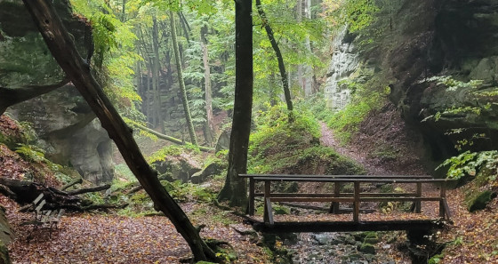 Die Natur in der Region Müllerthal - Kleine Luxemburger Schweiz ist einen Besuch wert.