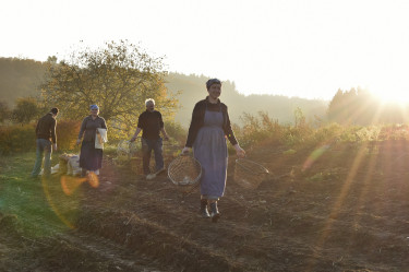 Thillenvogtei  Rindschleiden Wahl 1©VisitGuttland MuséeRuralThillenvogtei