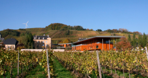 The youth hostel Remerschen is located in the middle of vineyards and a nature reserve.