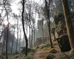 Hiking in the Mullerthal Region