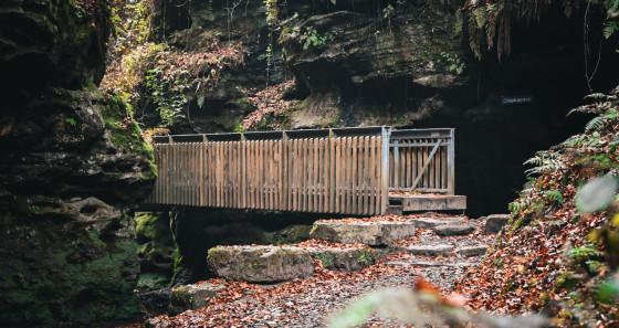 Im Mullerthal gibt es viele Brücken zu überqueren © Reiseziege 