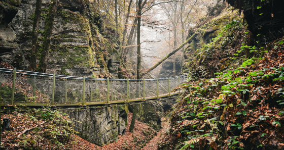 Wunderschöne, mystische Landschaften im Mullerthal © Reiseziege 