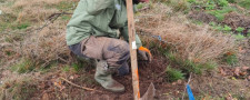 Plantation de 90 arbres à l’Eislek par la Fondation Hëllef fir d'Natur