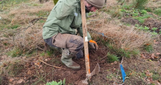 Plantation de 90 arbres à l’Eislek par la Fondation Hëllef fir d'Natur