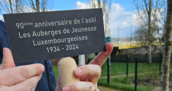 Plaquette du 1er arbre planté.