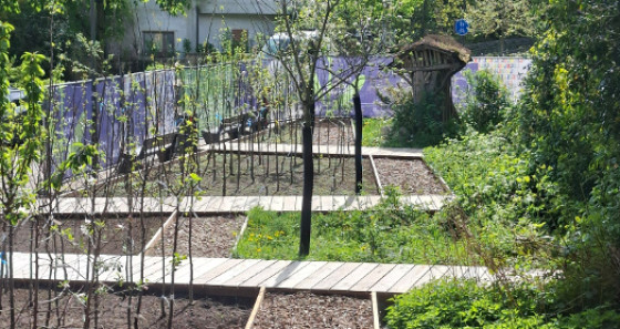 À la rencontre de l'écologie urbaine dans la vallée de l'Alzette