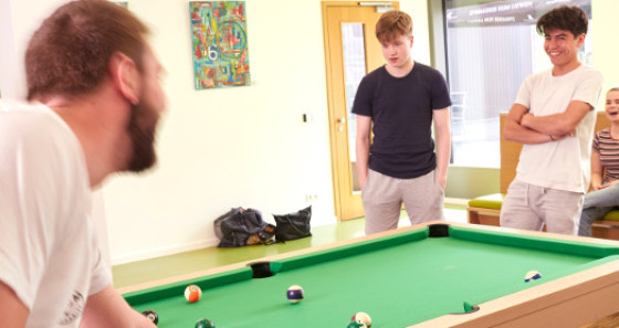 Why not play a game of billard