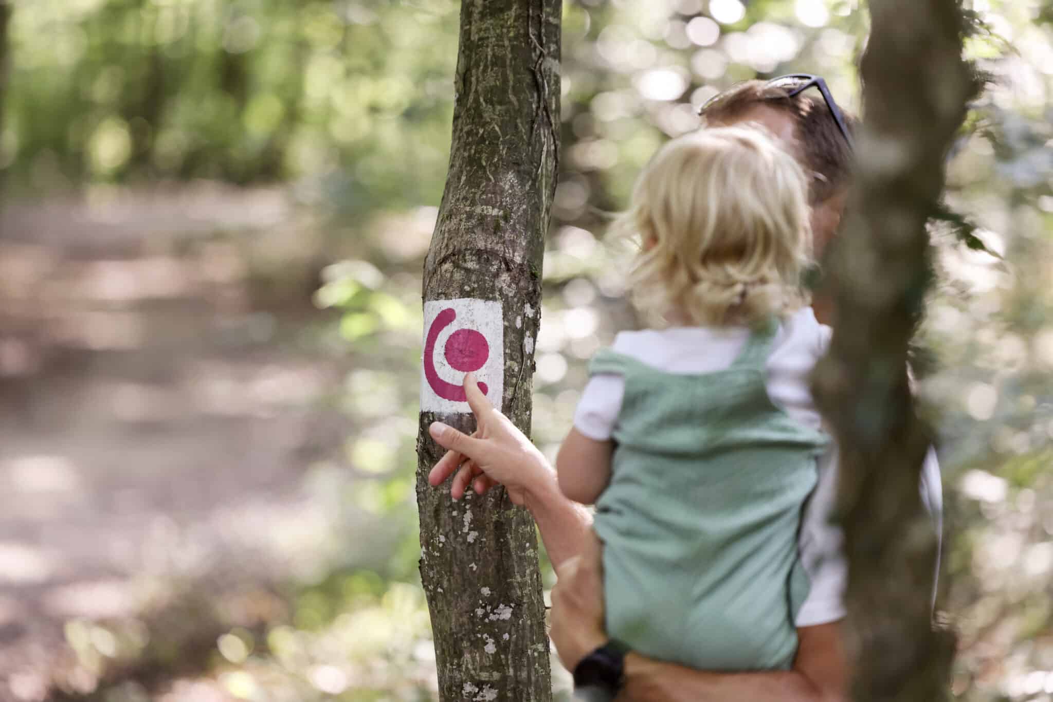 Komfort Wanderweg Bissen © Sophie Margue DGT