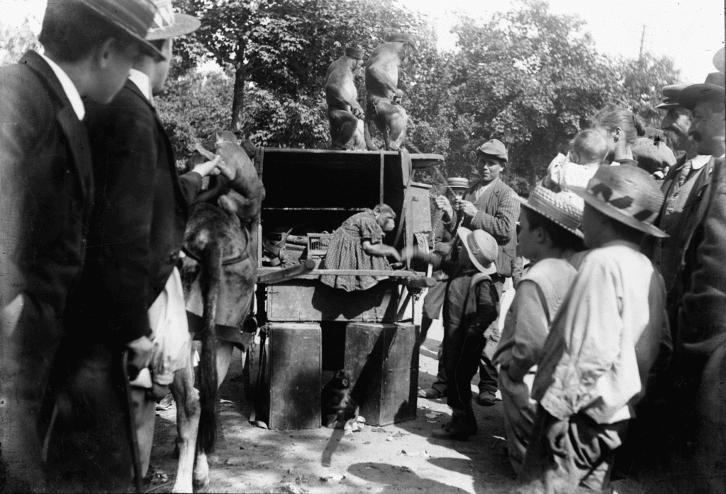 Dancing Monkeys Showman in 1899