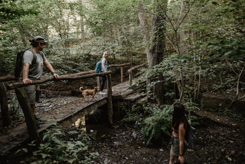 ELL GuttlandTrail Riedergrënn ©Visit Guttland - Jeniska Photography