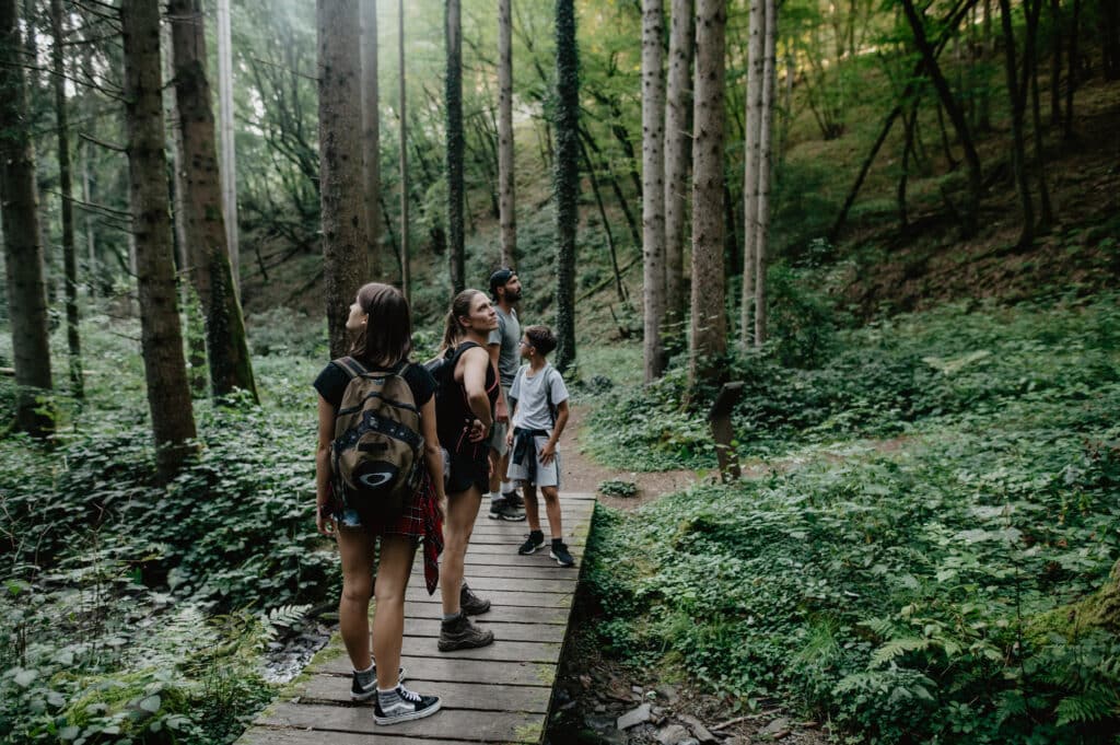 Groussbous-Wal Guttland.Trail Déck Lay ©Visit Guttland