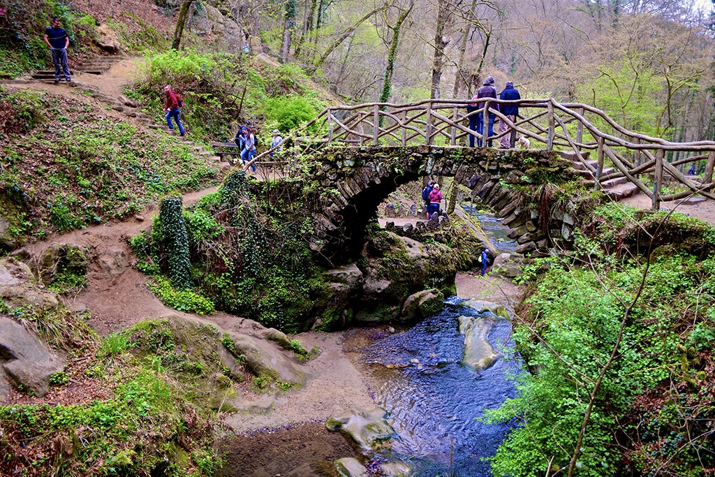 « La nature au Luxembourg ? Il n'y a pas grand-chose à voir. »